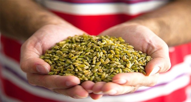 Dar al-Kalima University