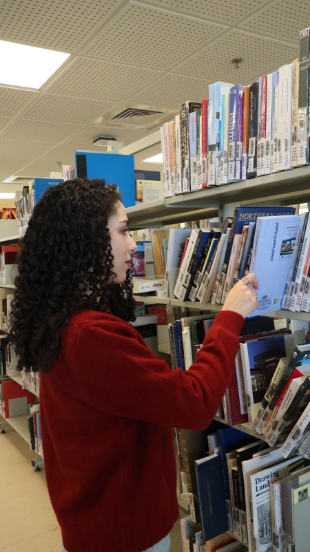 Library 15