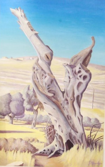 Dar al-Kalima University