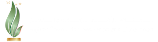 Higher Council for Innovation (HCIE)